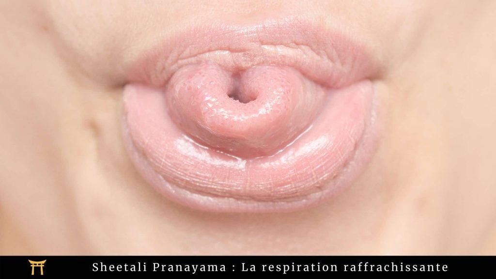 Image montrant une langue pliée, accompagnée de la phrase "Sheetali Pranayama : La respiration raffrachissante"