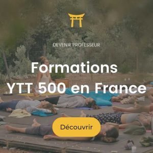 YTT 500 en France