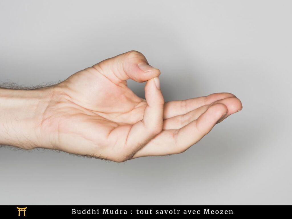 Une main exécute le Buddhi Mudra sur un fond gris uni. Le pouce et l'auriculaire se touchent tandis que les autres doigts sont tendus. Le texte en bas indique : « Buddhi Mudra : tout savoir avec Meozen. ».
