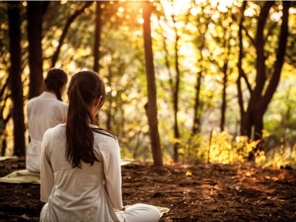 Deux individus sont assis en tailleur sur le sol de la forêt, dos tourné, dans un décor boisé serein. Ils portent des vêtements blancs et semblent méditer ou se livrer à une activité paisible. La lumière du soleil filtre à travers les arbres, projetant une douce lueur.