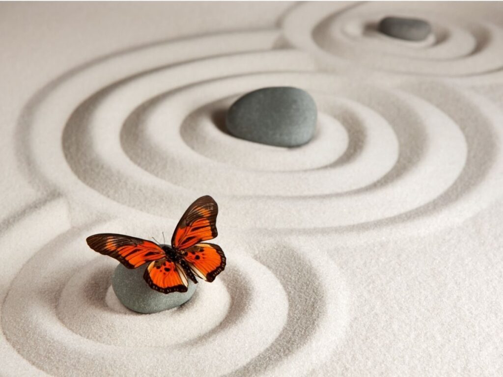 Un papillon rouge et noir repose sur une pierre grise et lisse dans un jardin zen. La pierre est entourée de motifs circulaires concentriques ratissés dans le sable. Une autre pierre aux motifs similaires est visible en arrière-plan.